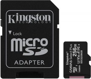 Kingston SDCS2 256GB