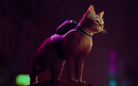 Stray: anche i gatti amano l'avventura felina per PlayStation e PC